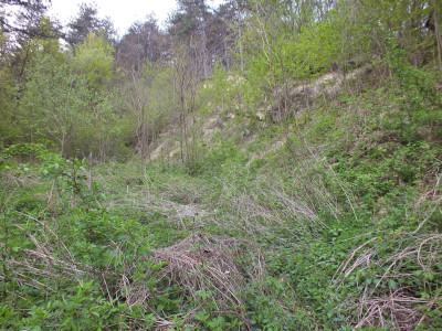 Síkfőkút2