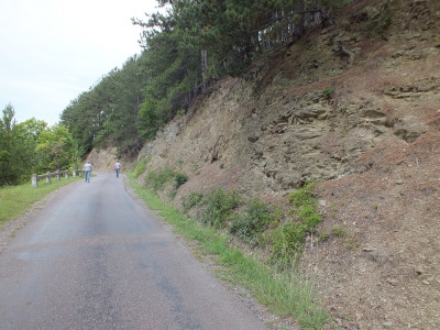 Rákmara