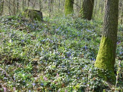                                                                                                                              