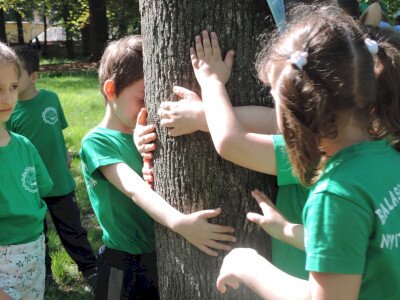                                                                                                                                 