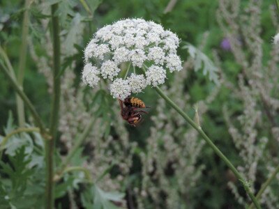                                                                                                                                 