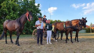 Farmer Expo, Batúz-tanya, furioso-north star, ménes, Debrecen