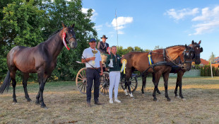 Farmer Expo, Batúz-tanya, furioso-north star, ménes, Debrecen