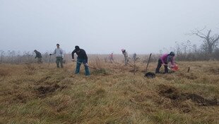 faültetés, borsodi-mezőség, bükki nemzeti park igazgatóság, békatutaj egyesület