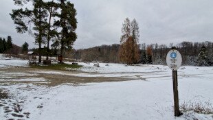 Februári madárgyűrűzés Jávorkúton