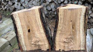 Februári meglepetés