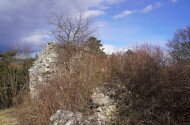 Fejér-kő várának romjai
