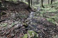 Felsőtárkány - Tamás-kúti tanösvény
