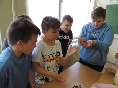                                                                                                                                 