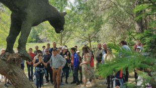 Föld napi miocén ősvilági túra