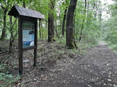Verepce-tető