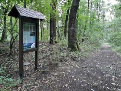 Verepce-tető