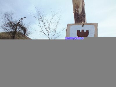 DSCF7023