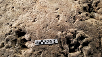 Geodiversity and Geotop Days at the Nograd Geopark