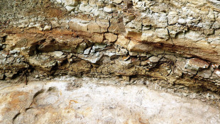 Geodiversity and Geotop Days at the Nograd Geopark