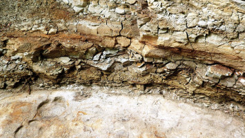 Geodiversity and Geotop Days at the Nograd Geopark