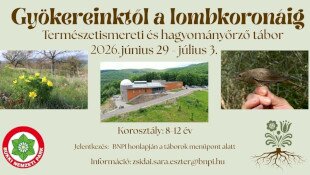 Gyökereinktől a lombkoronáig