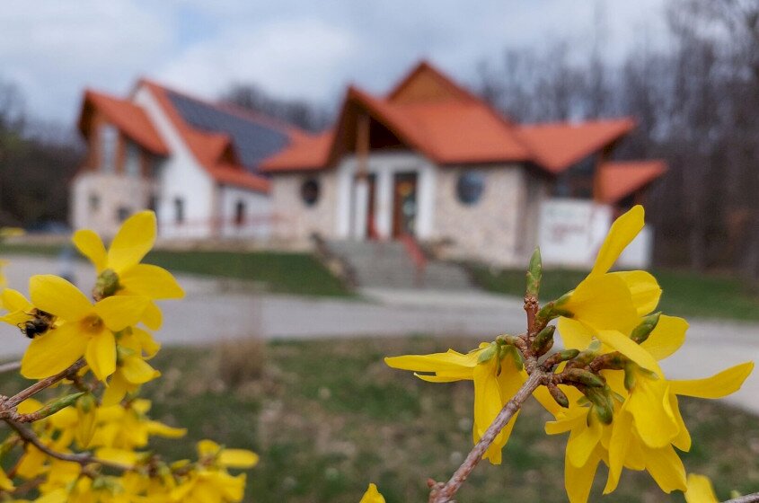 Harkály-ház beltér