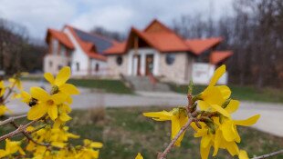 Harkály-ház beltér