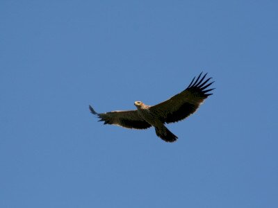 IMG_1158