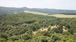 Hollókő Protected Landscape Area