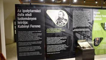 Idősíkok találkozása – különleges kiállítás nyílt az Ipolytarnóci Ősmaradványoknál