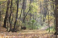 Felsőtárkány – Vár Hill Nature Trail