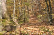 Felsőtárkány – Vár Hill Nature Trail