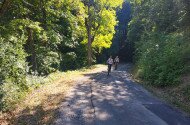 Vezetett e-bike túrák a Szeleta Parkból