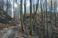 bükki nemzeti park, bükki nemzeti park igazgatóság, transzbükki átkelés, szakvezetés, bükk, túra, természetvédelem