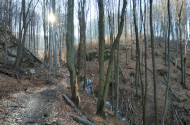 bükki nemzeti park, bükki nemzeti park igazgatóság, transzbükki átkelés, szakvezetés, bükk, túra, természetvédelem