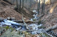 bükki nemzeti park, bükki nemzeti park igazgatóság, transzbükki átkelés, szakvezetés, bükk, túra, természetvédelem