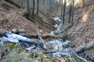 bükki nemzeti park, bükki nemzeti park igazgatóság, transzbükki átkelés, szakvezetés, bükk, túra, természetvédelem