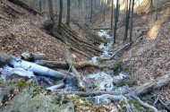 bükki nemzeti park, bükki nemzeti park igazgatóság, transzbükki átkelés, szakvezetés, bükk, túra, természetvédelem