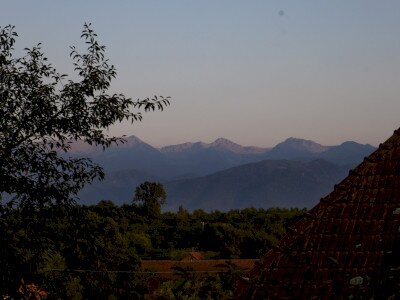 IMG_4390