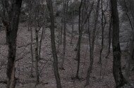 Felsőtárkány - Tamás-kúti tanösvény