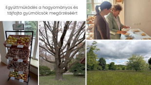 Intézetek közötti együttműködés a hagyományos és tájfajta gyümölcsök megőrzéséért