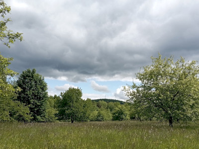 IMG_20250520_142114 (1)_1920