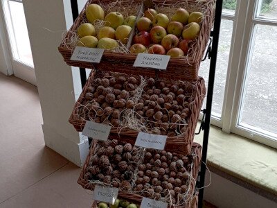 IMG_20260319_114849