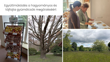 Intézetek közötti együttműködés a hagyományos és tájfajta gyümölcsök megőrzéséért