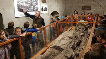 Ipolytarnóci Ősfa monológja egy diáklány tolmácsolásában