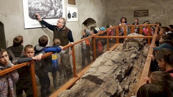 Ipolytarnóci Ősfa monológja egy diáklány tolmácsolásában