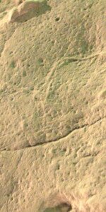 Ipolytarnóci ősmaradványok - 17 millió éves lábnyomok