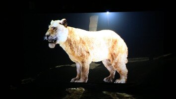Ipolytarnócon hologramos bemutatón jelenik meg az ősvilág