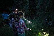 bükki nemzeti park programok 2024, éves eseménynaptár