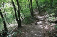 Az ősember nyomában - Geotúra a Szeleta-barlanghoz szakvezetéssel