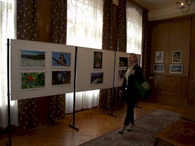 IMG_6264