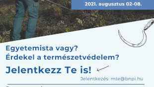 Kaszáló tábor a Mátrában