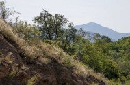 Kelet-cserháti Tájvédelmi Körzet