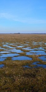 Kesznyéteni agrár-környezetgazdálkodási tanösvény